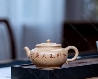 玉蘭花開 玉蘭花開